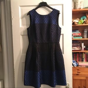 Donna Ricco black and blue polka dot dress - NWT